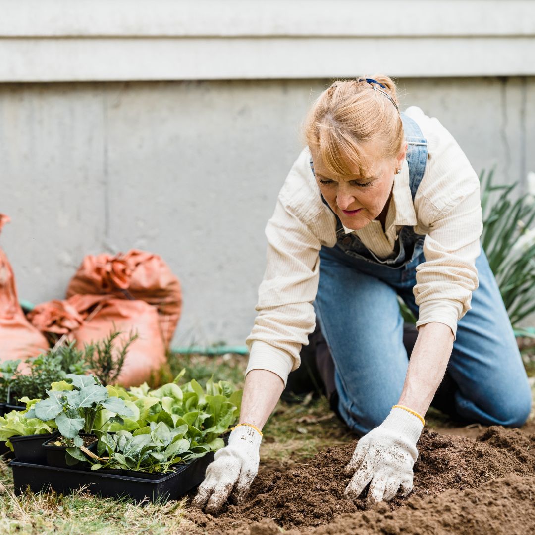 How to Build Your Own Raised Garden Bed for a Thriving Home Garden