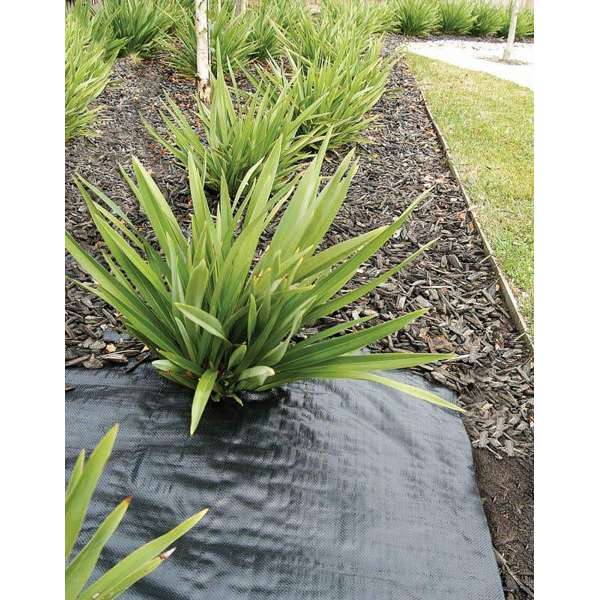 Weed Mat Economical Black 0.9m x 25m
