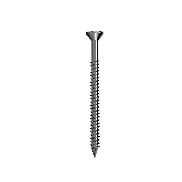 Bremick Screw Decking T17 SS304 10G x 50mm - Box of 100
