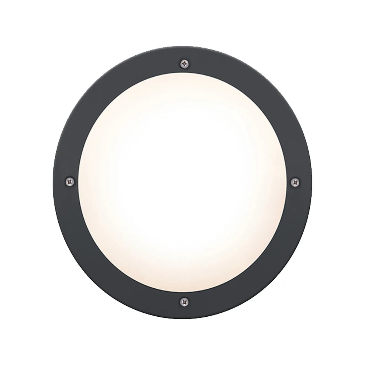 HPM Oroya 16W LED Cool White Bunker Light Black