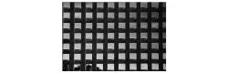 Garden Trellis