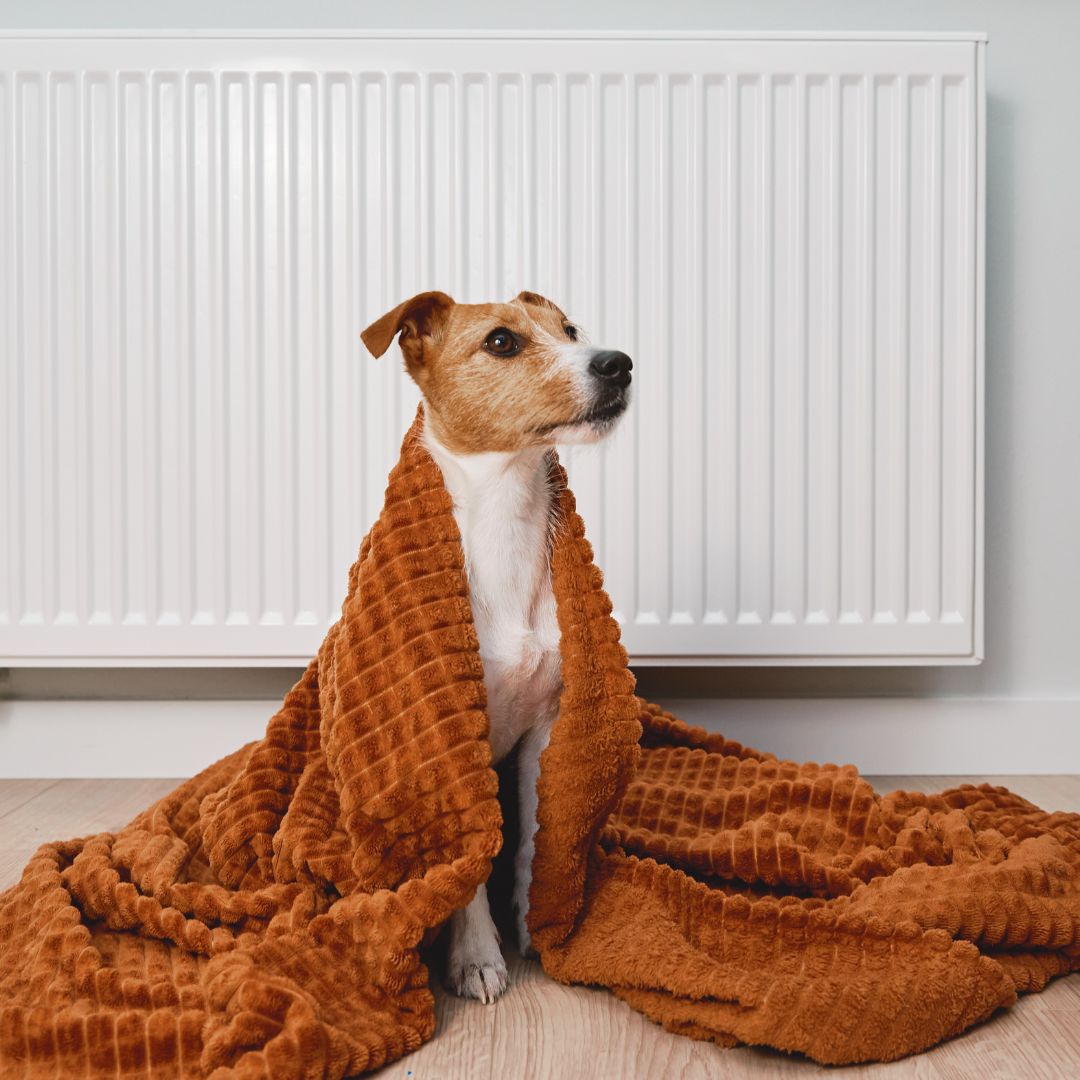 Ways To Keep The Cold Out Of Homes This Winter