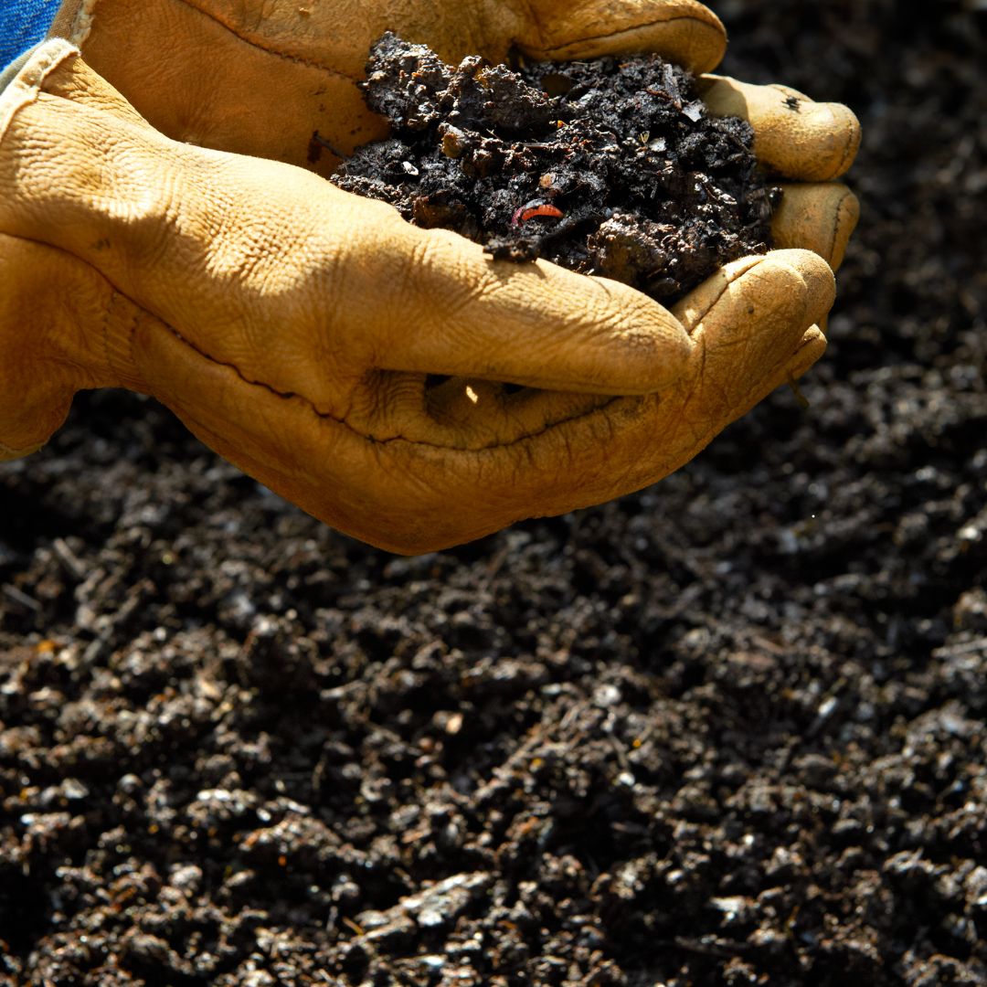 Guide To Reducing Food Waste And Composting At Home