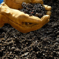 Guide To Reducing Food Waste And Composting At Home