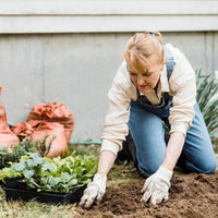 How to Build Your Own Raised Garden Bed for a Thriving Home Garden