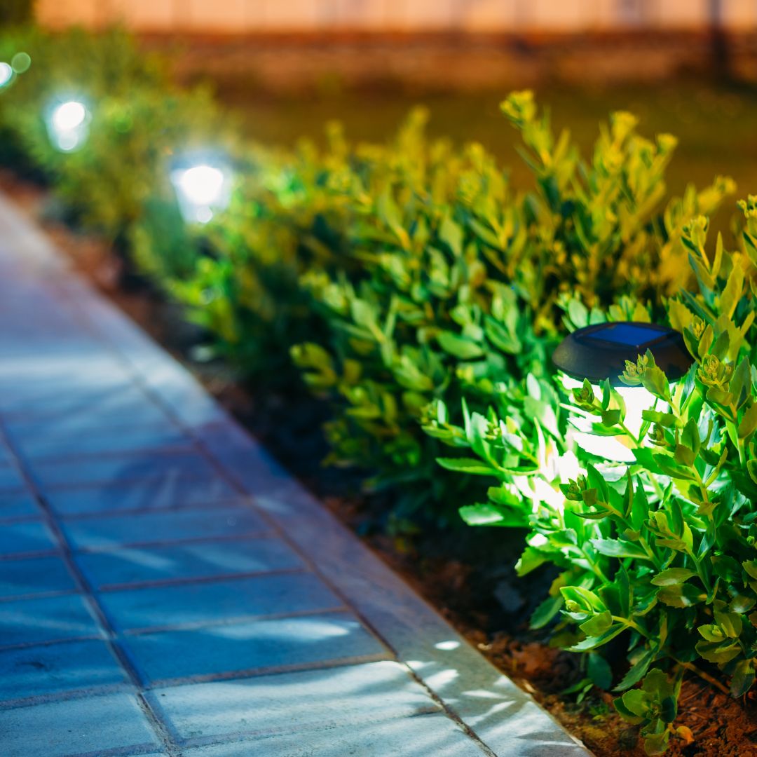 DIY Outdoor Lighting: Installing Solar-Powered Pathway Lights
