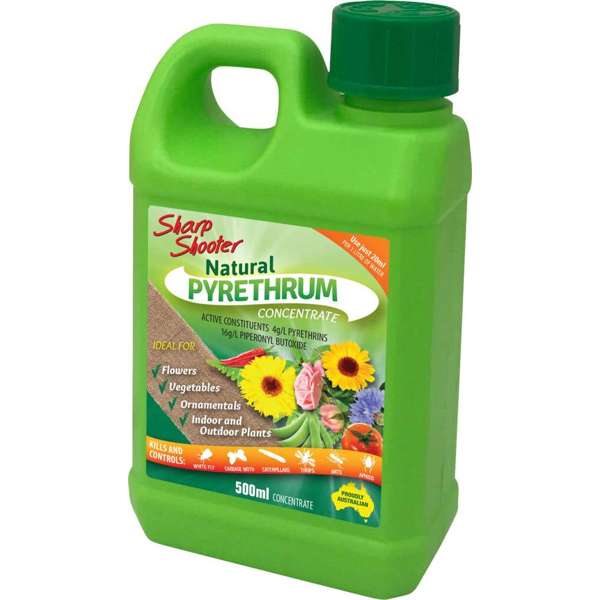 Sharp Shooter Pyrethrum Insect Concentrate 500ml