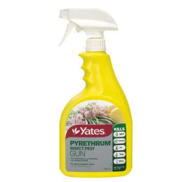 Yates Insecticide Pyrethrum RTU 750ml