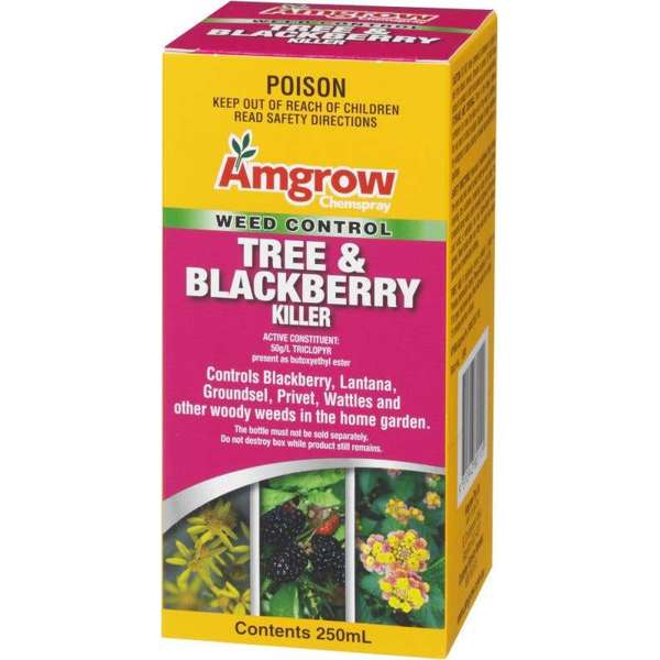 Amgrow Chemspray Tree & Blackberry Killer 250ml