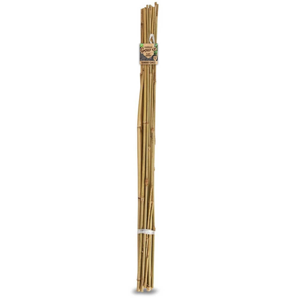 Stake Bamboo Cane 1.8m 10 Pack