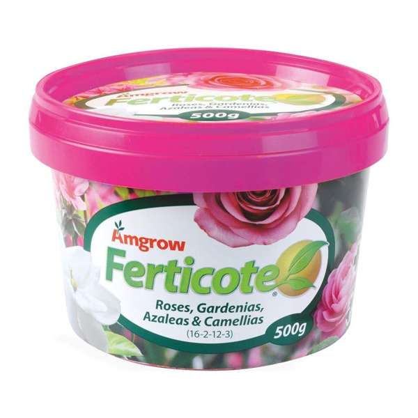 Amgrow Ferticote Roses Gardenias Azaleas & Camellias 500g