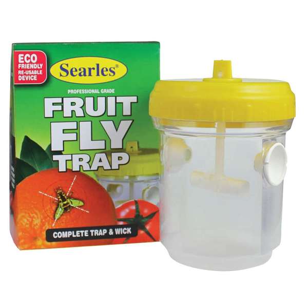 Searles Fruit Fly Trap