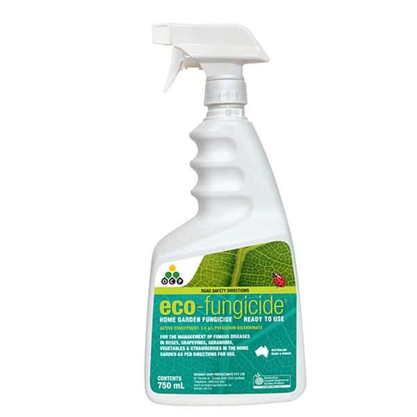 OCP Eco-Fungicide Ready to Use 750ml