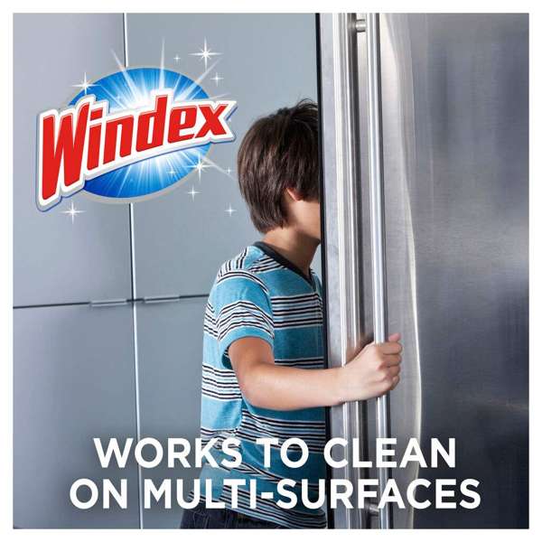 Windex Surface & Glass Multi-Purpose Cleaner Floral 750ml