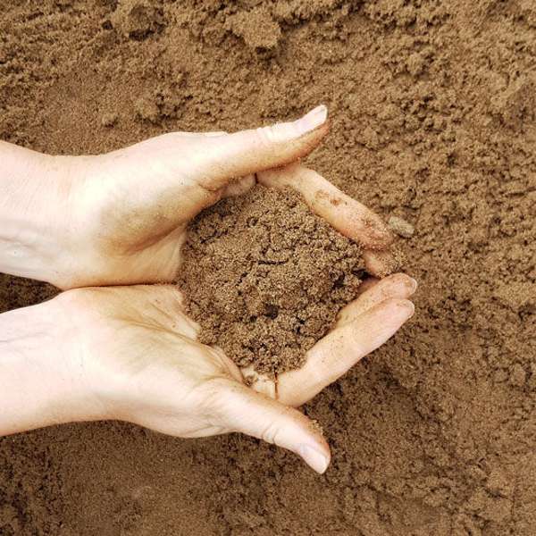 Premium Toil Soil 80% Sand / 20% Soil (Loose per Ton)