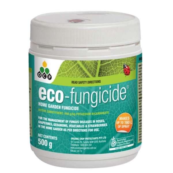 OCP Eco Fungicide Powder 500g