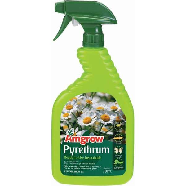 Amgrow Pyrethrum Insecticide 750ml