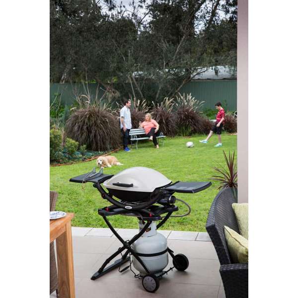 Weber Q2000 LP BBQ Titanium