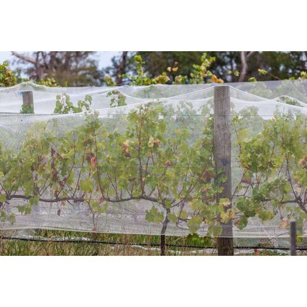 Abshade Bird Netting 4 x 4m