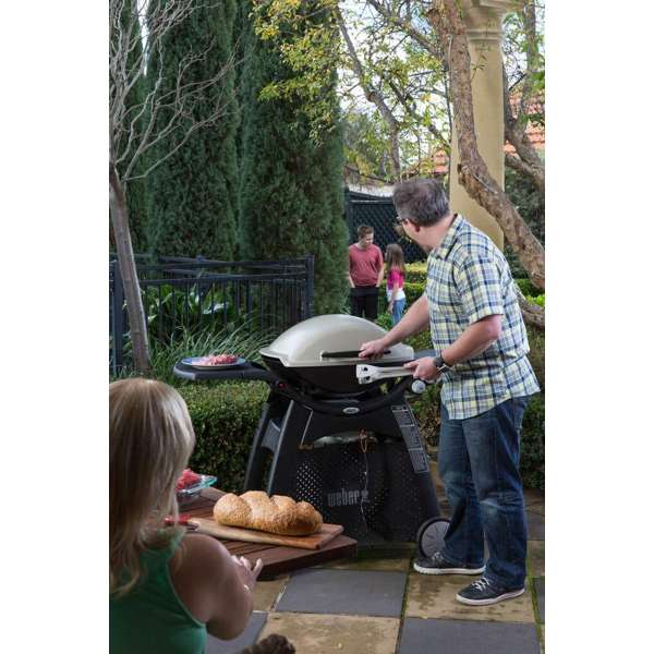 Weber Q Family Q3100 LPG BBQ Titanium