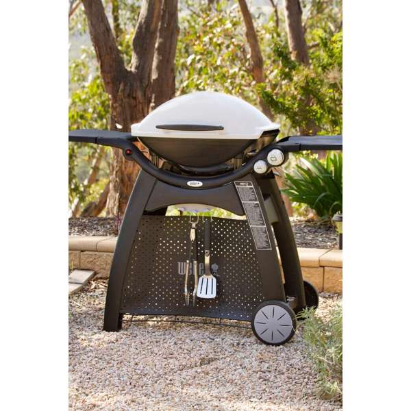 Weber Q Family Q3100 LPG BBQ Titanium