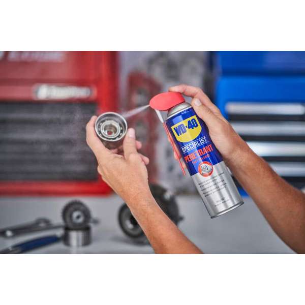 WD-40 Specialist Fast Release Penetrant 300g