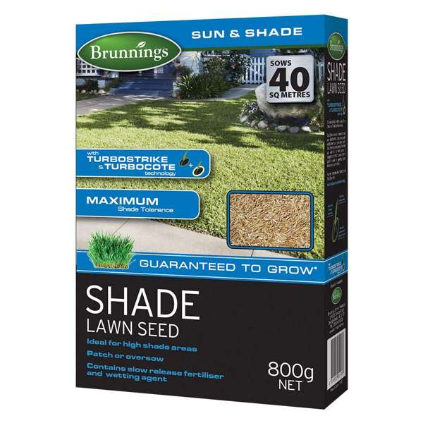 Brunnings Shade Lawn Seed 800g