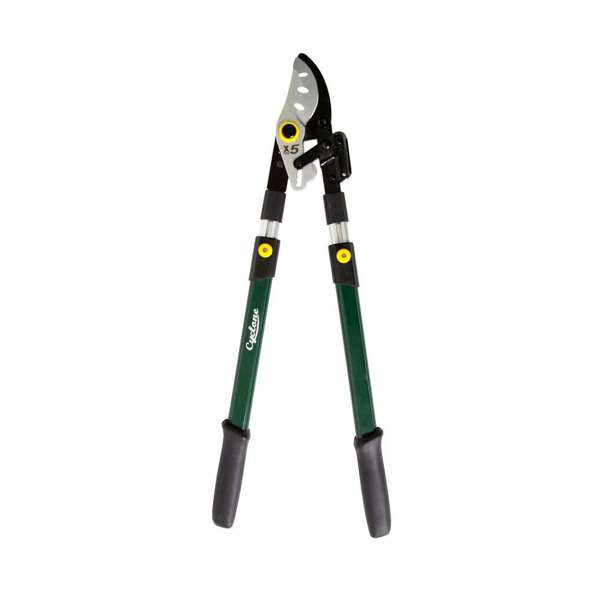 Cyclone Bypass Telescopic Ratchet Lopper