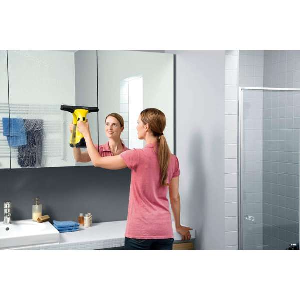 Karcher WV2 Plus Window Vac