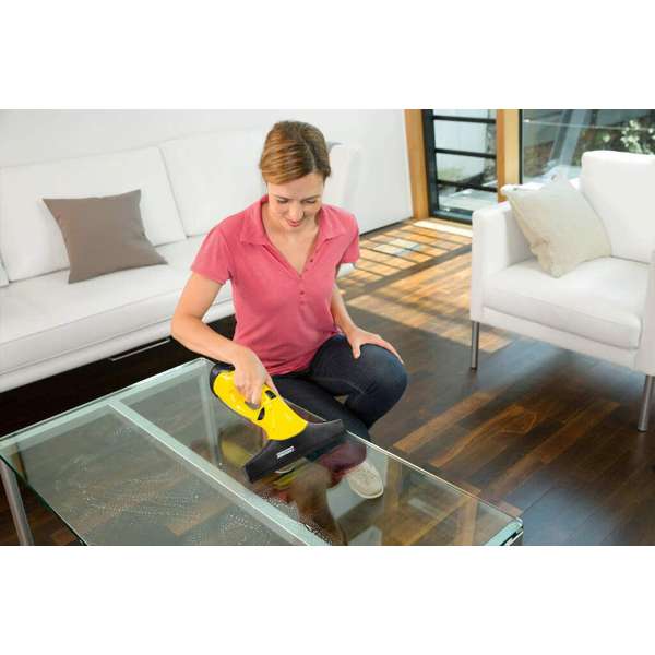 Karcher WV2 Plus Window Vac