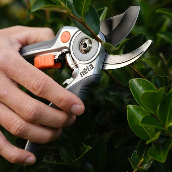 Neta Bypass Secateurs