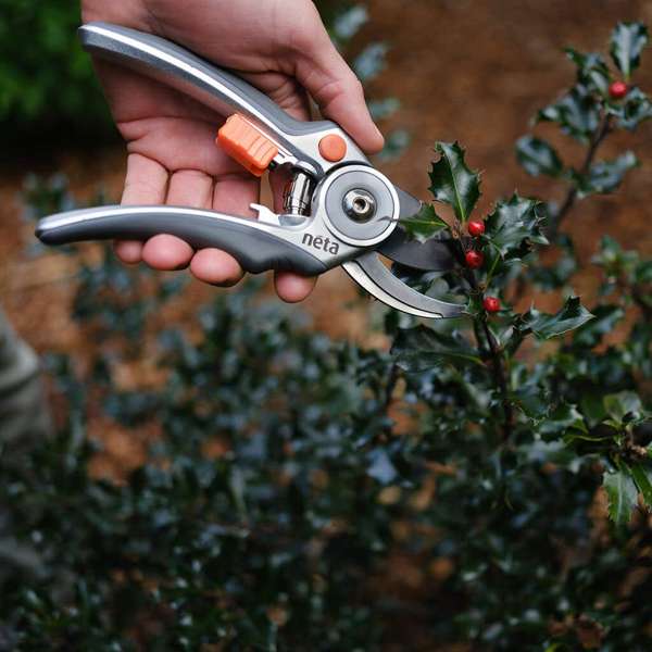 Neta Bypass Secateurs