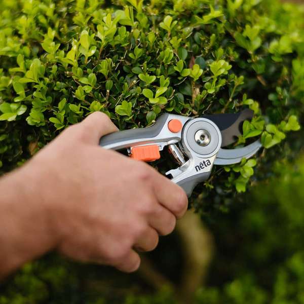 Neta Bypass Secateurs