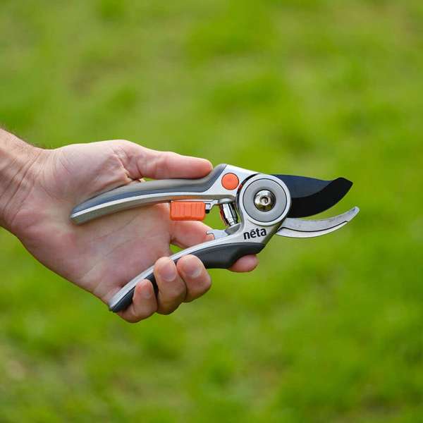 Neta Bypass Secateurs