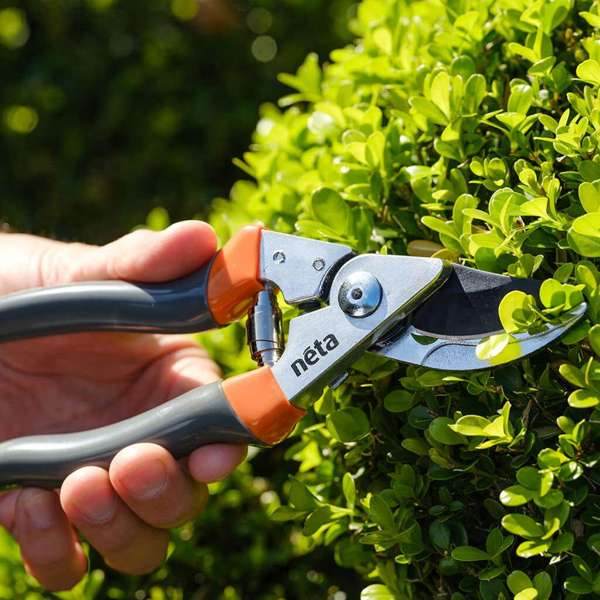 Neta Bypass Secateurs Aluminum