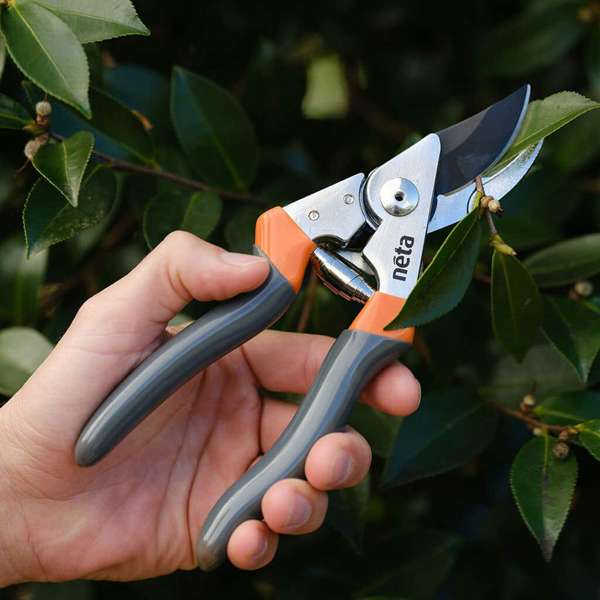 Neta Bypass Secateurs Aluminum