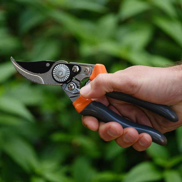 Neta Bypass Secateurs Aluminum