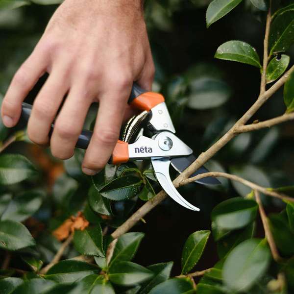 Neta Bypass Secateurs Aluminum