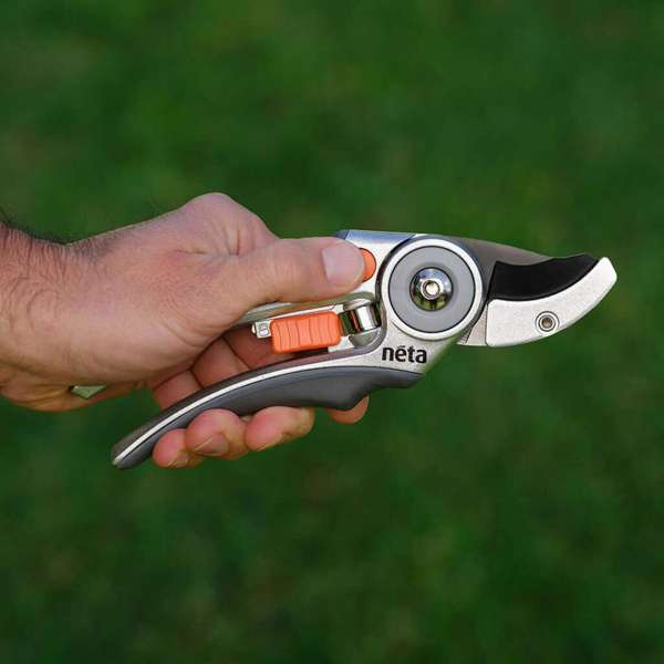 Neta Anvil Secateurs