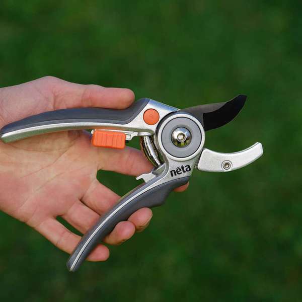 Neta Anvil Secateurs