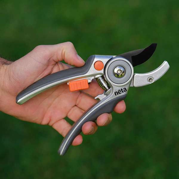 Neta Anvil Secateurs