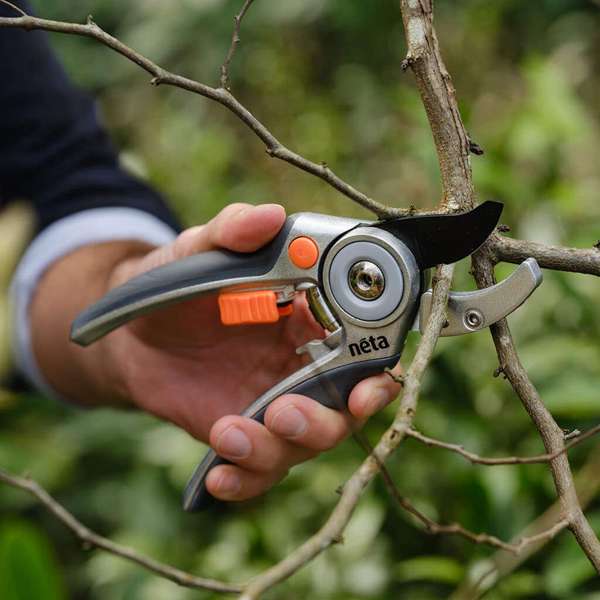 Neta Anvil Secateurs