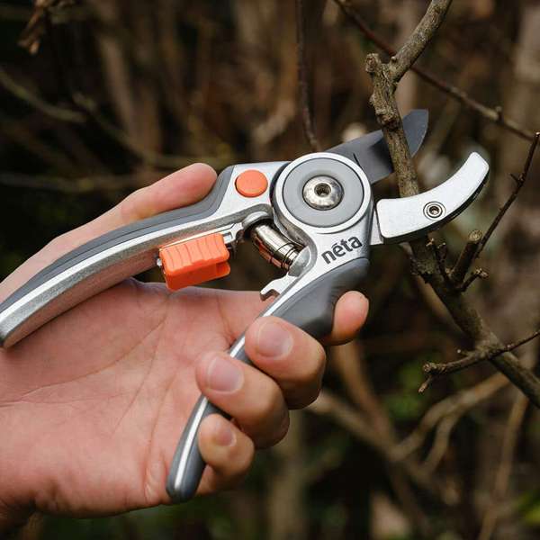 Neta Anvil Secateurs