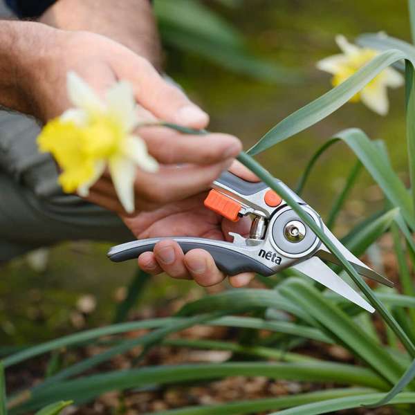 Neta 6mm Capacity Floral Snips