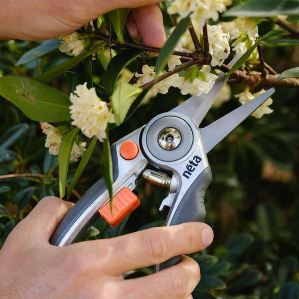 Neta 6mm Capacity Floral Snips