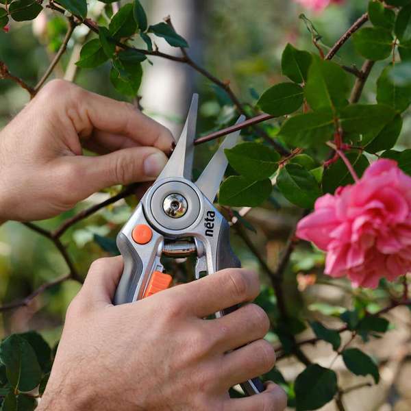 Neta 6mm Capacity Floral Snips