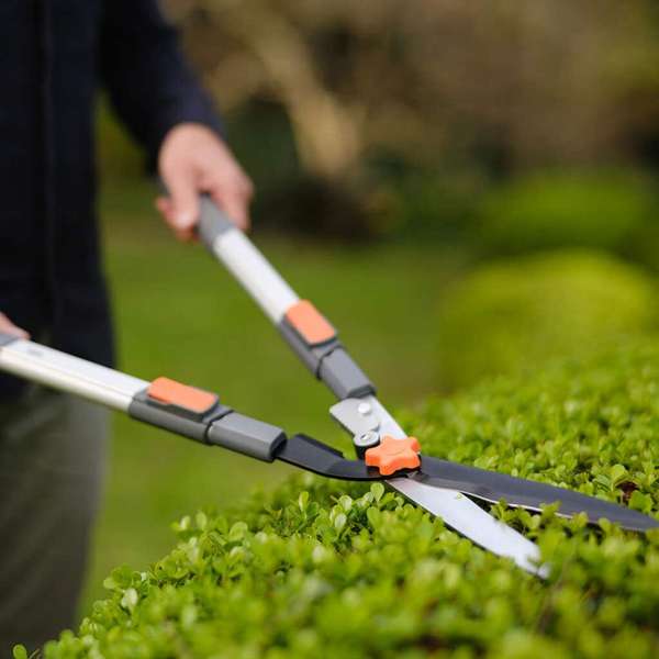 Neta Telescopic Hedge Shear