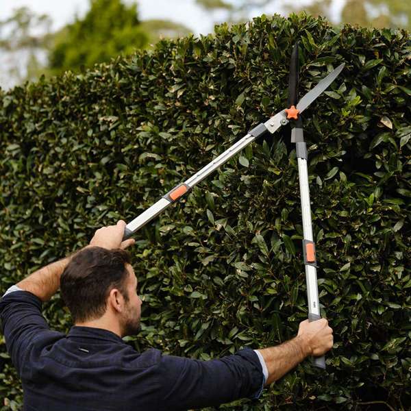 Neta Telescopic Hedge Shear