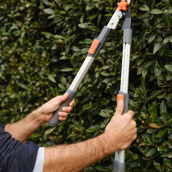 Neta Telescopic Hedge Shear