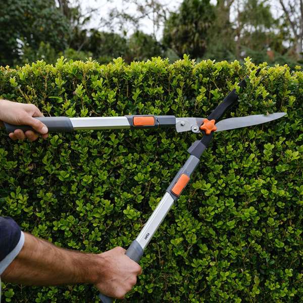 Neta Telescopic Hedge Shear